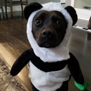 Meet your Posher, Stacy